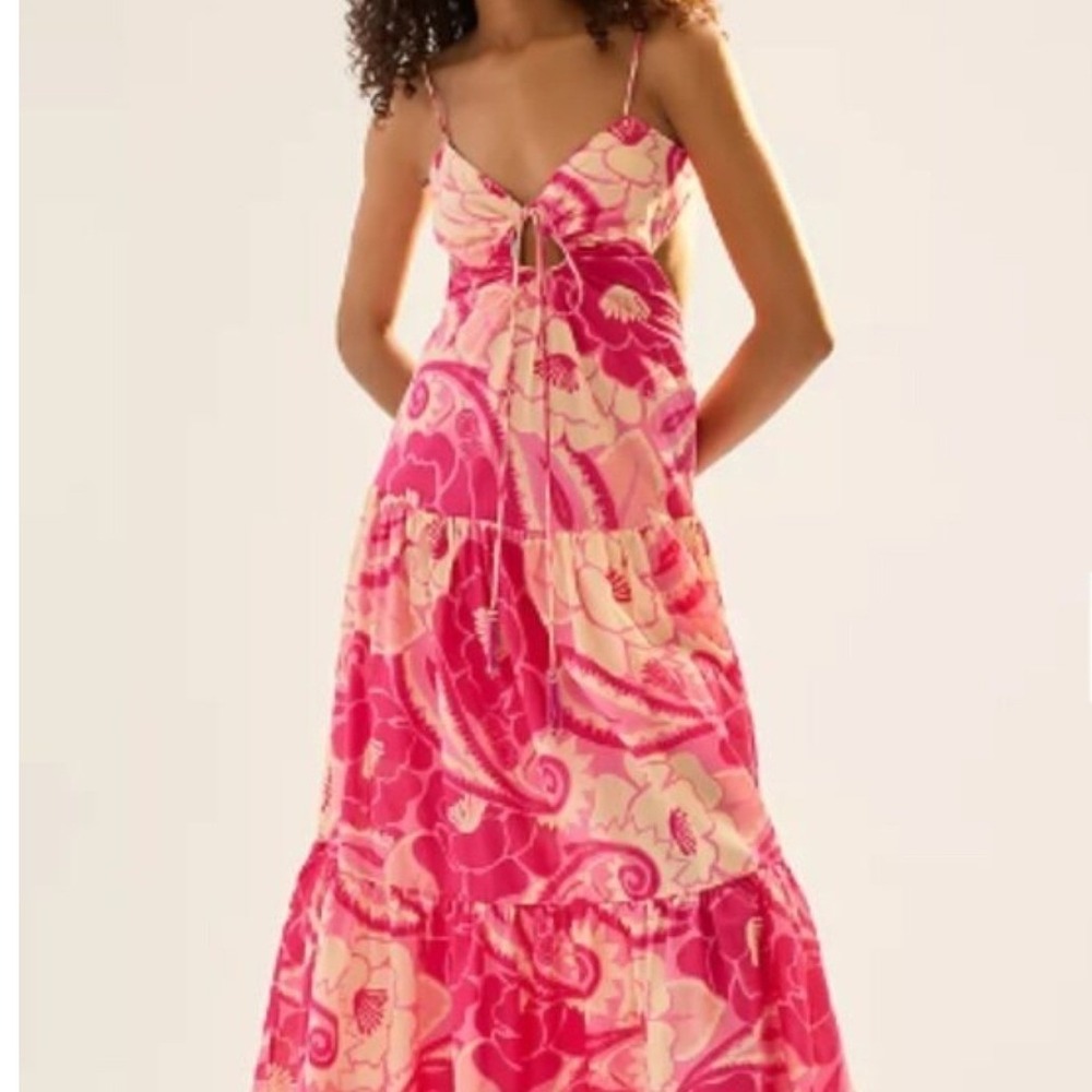 FARM Rio Pink and Cream Floral Tie-Front Maxi Dress - Picture 16 of 16